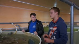 В гостях у коллег. Семейное УЗВ