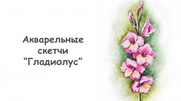 Как нарисовать Гладиолус акварелью / Курс "Акварельные скетчи для начинающих" от more-art.ru