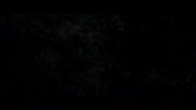 GSC ВСЕ... смотреть онлайн