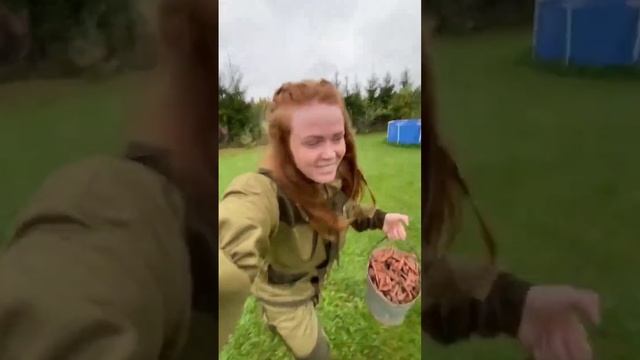 ЛОШАДЬ ВТИХУЮ ТЫРИТ МОРКОВЬ | НАГЛЫЙ ВОРИШКА смотреть онлайн