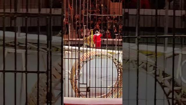 VID-20241223-WA0023 смотреть онлайн