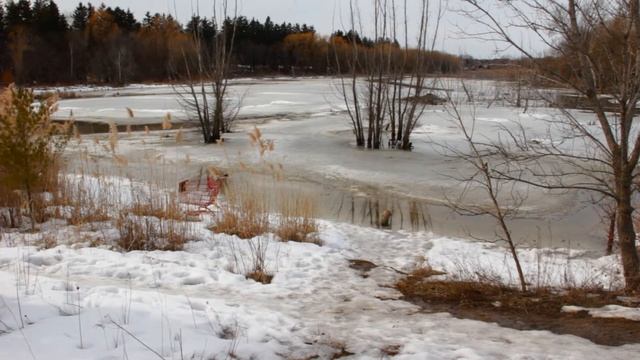 Canon EOS 550d/ T2i/EF-S 18-135 mm,Test video смотреть онлайн