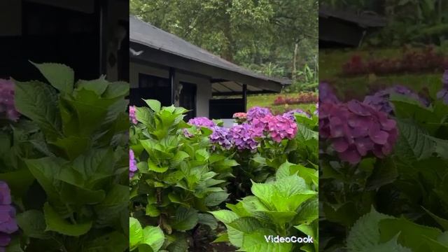Это место похоже на рай.... смотреть онлайн