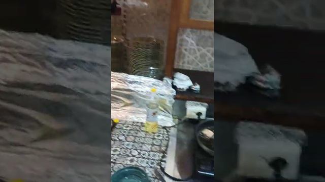 Работаем Метро ЦСКА Масковский Казань Кабоб #масква смотреть онлайн