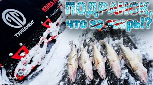 Подранок, это что за зверь. Рыбалка на судака, река Кама.