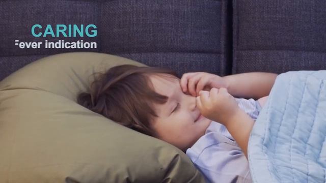 Dr. Talbot's Non-Contact Infrared Thermometer - Modern Design смотреть онлайн