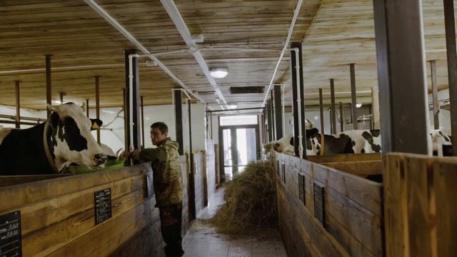 ट्रांजीशन फीड क्या होता है? | Transition Feed for Cow смотреть онлайн