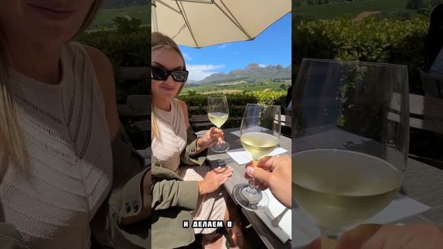 Как выглядит отдых в ЮАР на винодельнях. #юар #вино #винодельня #путешествия смотреть онлайн