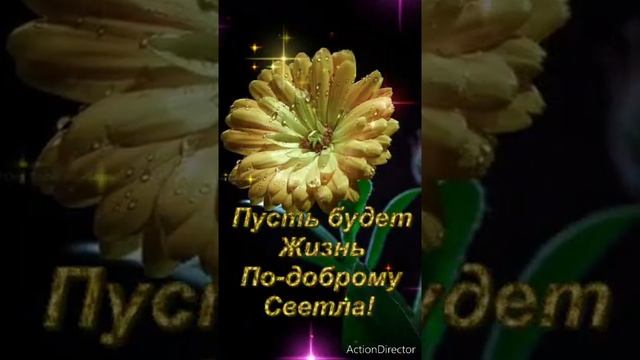 Добрый вечер смотреть онлайн