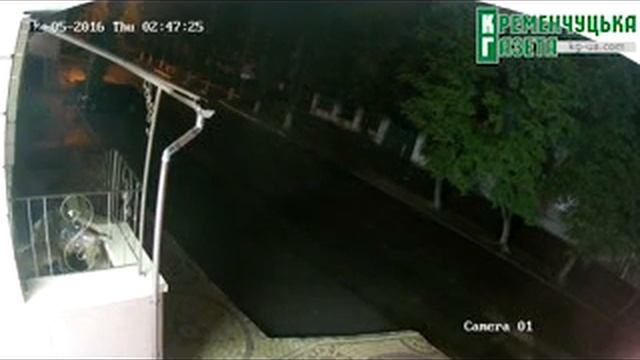 В Кременчуге стая собак разгрызла кошку. 18+!!! смотреть онлайн