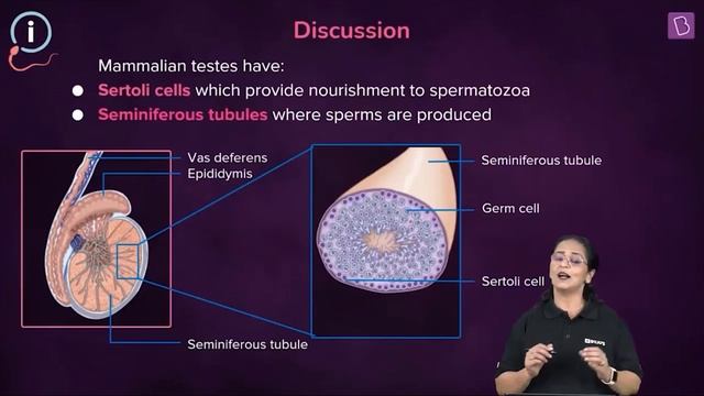 Daily Quiz #146 | Class 11-12 & Droppers | Biology | Sabiha Ma'am | NEET 2021/2022 | BYJU'S NEET смотреть онлайн