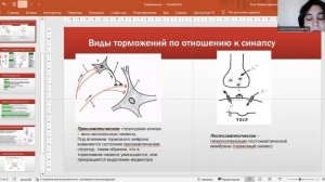 Торможение в ЦНС, классификация и виды