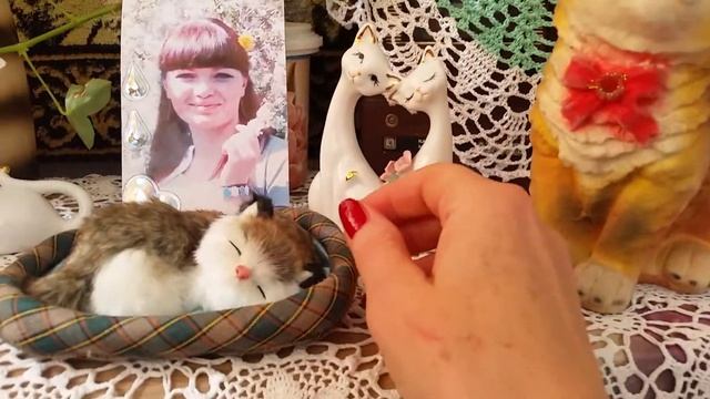 Коллекция кошек... смотреть онлайн