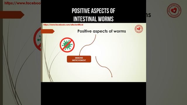Positive aspects of intestinal worms #intestinalworms #worms #digestion #immunity смотреть онлайн