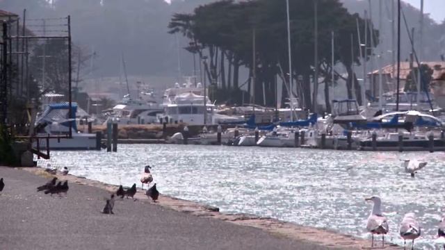 Manipura_-_Acronimo_CC_[2._videom] смотреть онлайн