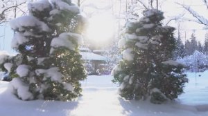 ДНИ ПРАЗДНИЧНЫХ БЛЮД НА ТЕЛЕКАНАЛЕ «КУХНЯ» 6 и 7 января с 11:30