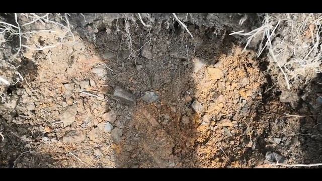 Отличное открытие сезона металокопа смотреть онлайн
