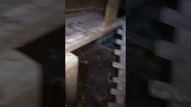 КУРЫ СОСЕДА смотреть онлайн
