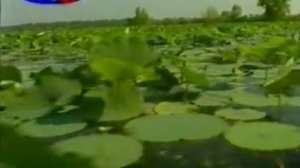 На ладони Божией