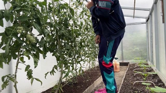 День 8 отпуска на даче. Муж закупил продуктов на День Рожденья! смотреть онлайн