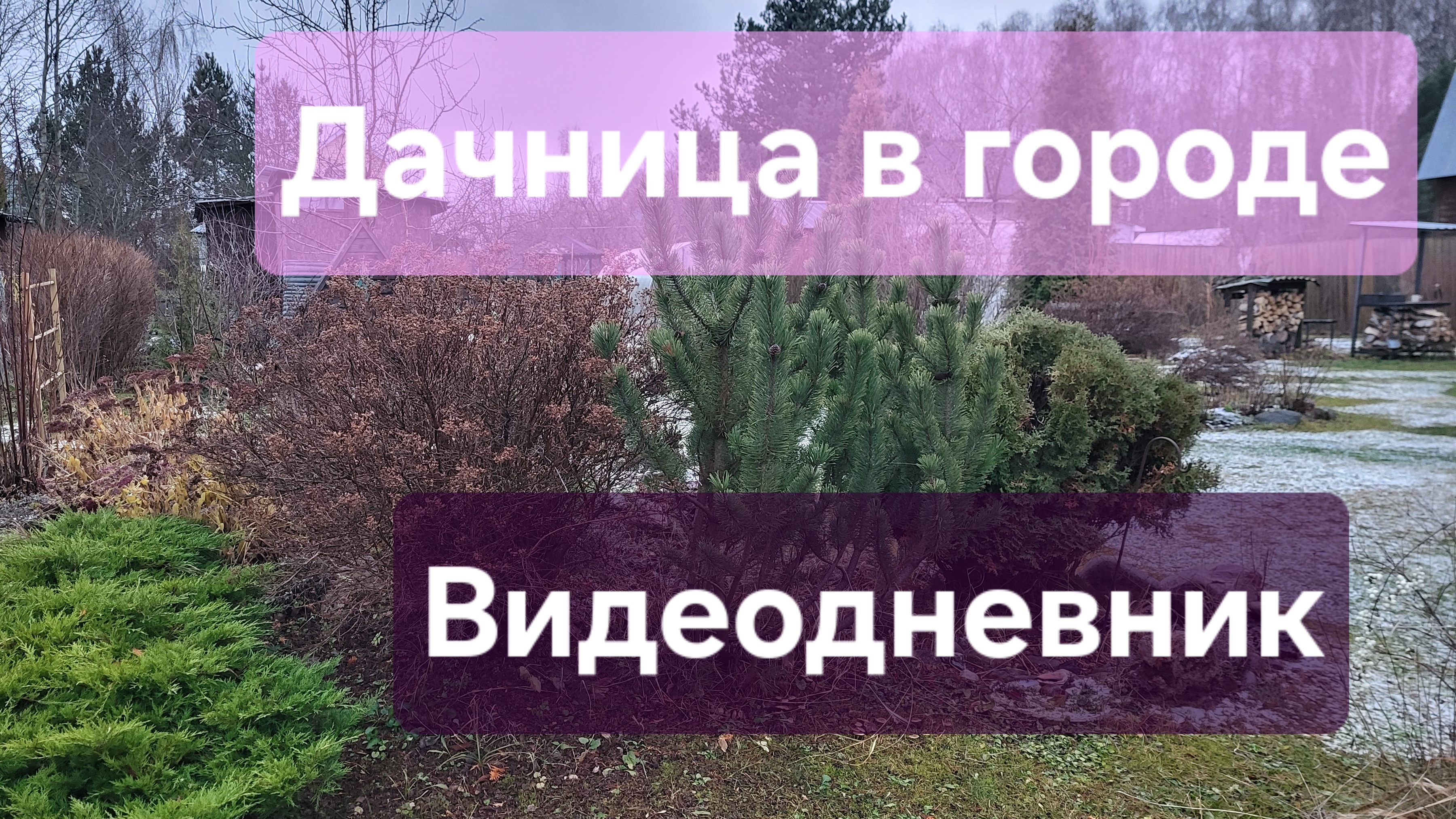 ВЛОГ: Дачница в городе. Видеодневник. Жизнь в городе. смотреть онлайн