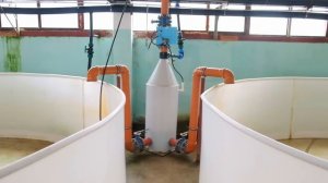 Волгореченское Рыбное хозяйство. В гостях у коллег