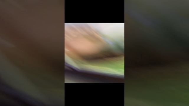 1000010654.mp4 смотреть онлайн