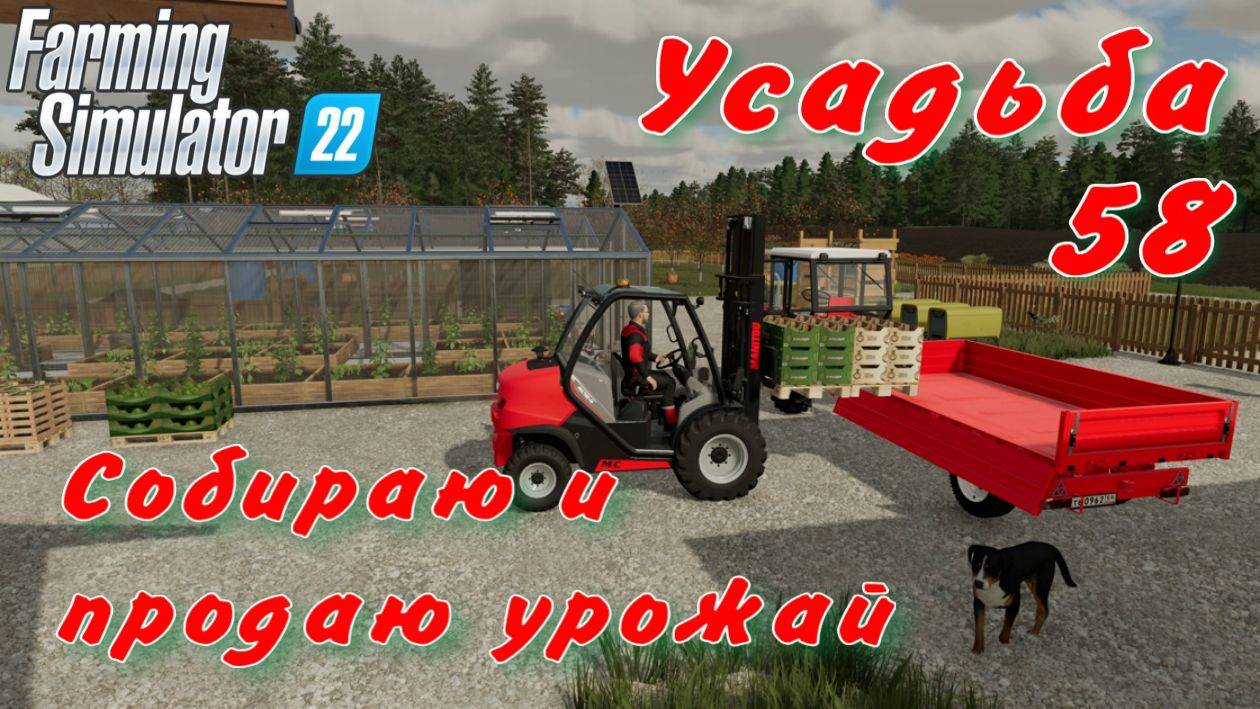 Усадьба 58 часть. Собираю и продаю урожай. смотреть онлайн