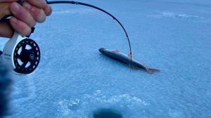 ВИБЫ БОЛЬШЕ НЕ НУЖНЫ !!! СУДАК ЩУКА ЛУПИТ ЕЕ первый лед