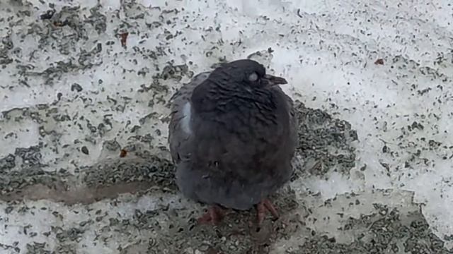 Гормоны играют а тело страдает.. смотреть онлайн