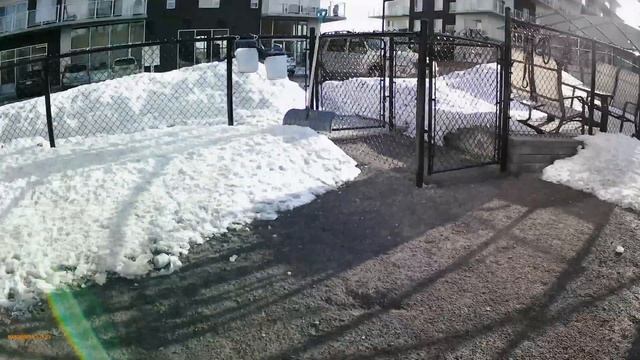 George et Loki m'attendent de ''Pattes'' ferment !!! смотреть онлайн