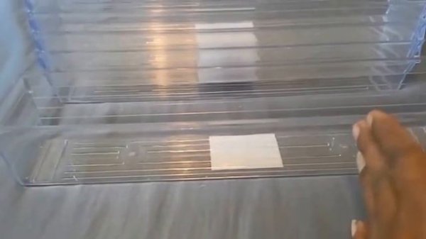 Dollar Tree Haul - Floating LED Candles, Garden n More Organization