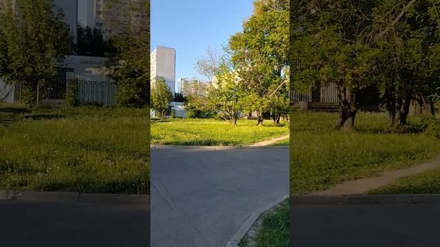 Попытка найти Стариков Москва Солнцево печальный финал Кавказ особая территория смотреть онлайн