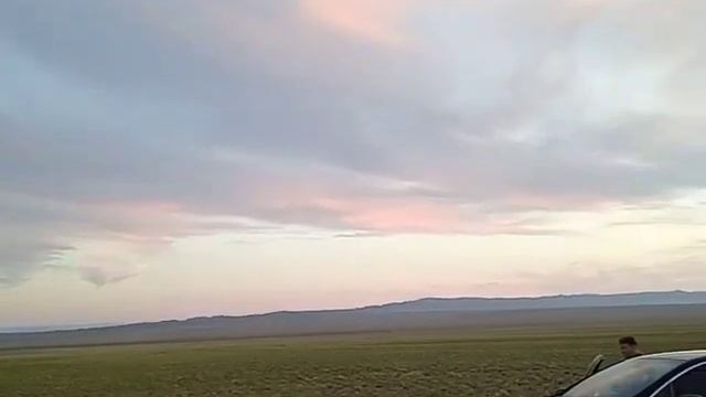 Многокилометровые "плантации"дикого чеснока в Говь Алтай смотреть онлайн
