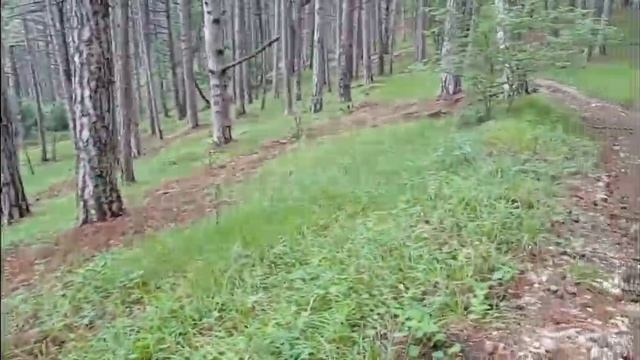 Никитское плато. 14.06.23. смотреть онлайн