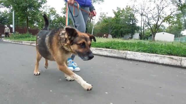 МАЛЫШ смотреть онлайн