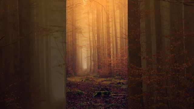 Цитаты Самое важное в нашей жизни,Ты их должен услышать смотреть онлайн