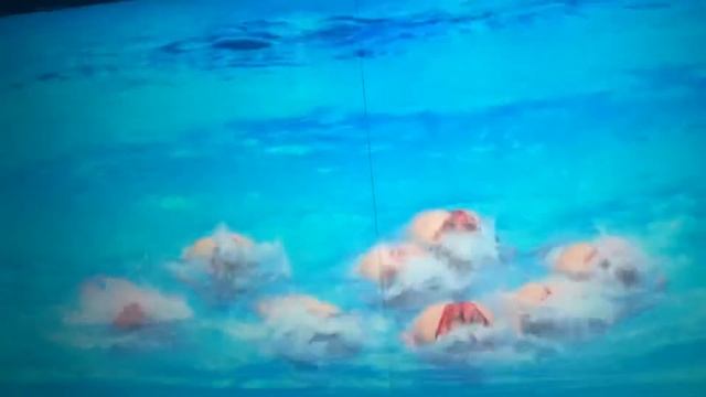 Team Ukraine swimming смотреть онлайн