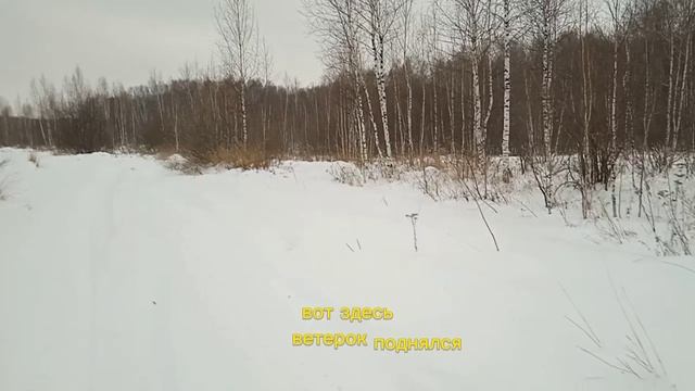 Хаски как лесная собака ее хлебом не корми дай только погулять в лесу смотреть онлайн