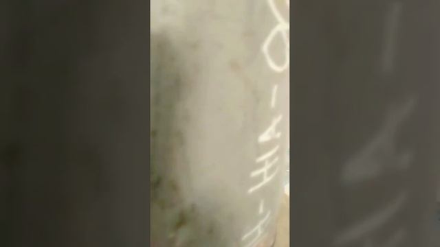 las argon thei in pipa 8 inc смотреть онлайн