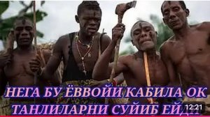 Одамхур ёввойи кабилалар хакида