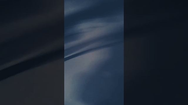 Песня грустная собака смотреть онлайн