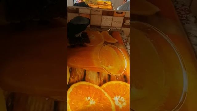 Утро начинается весело.. 😇 смотреть онлайн