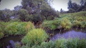 Микроречка - мечта Летом. Мормышинг.