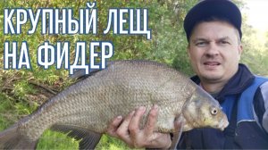 Рыбалка на фидер в незнакомом месте. Ловля леща и язя на фидер. Рыбалка в Муромцево на реке Тара