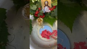 Чистка/черная пелена/оборотни/остуда