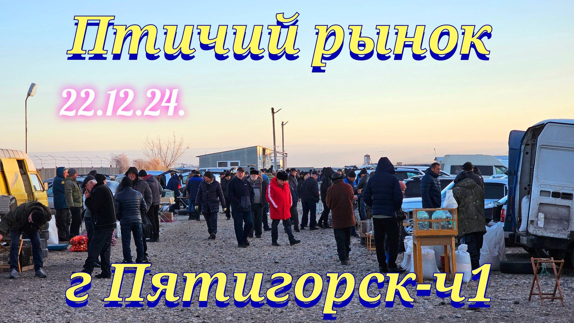 Голуби цены Птичий рынок г Пятигорск - ч1 смотреть онлайн