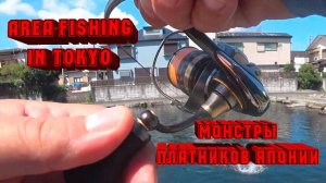 Лапоть на блесну! AREA-FISHING в Японии.