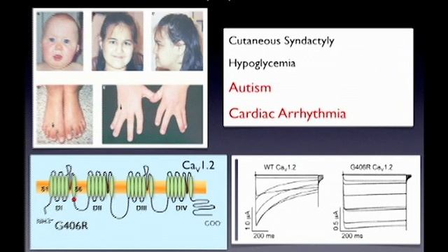 Using Stem Cells To Study Autism (2012)