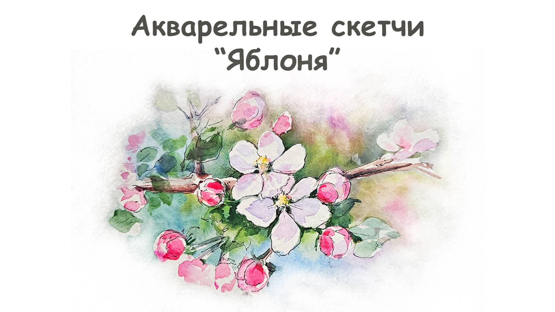 Как нарисовать Яблоню акварелью / Курс "Акварельные скетчи для начинающих" от more-art.ru смотреть онлайн